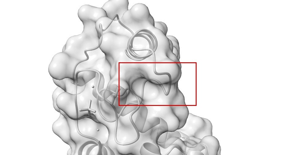 NanoShaper methodology