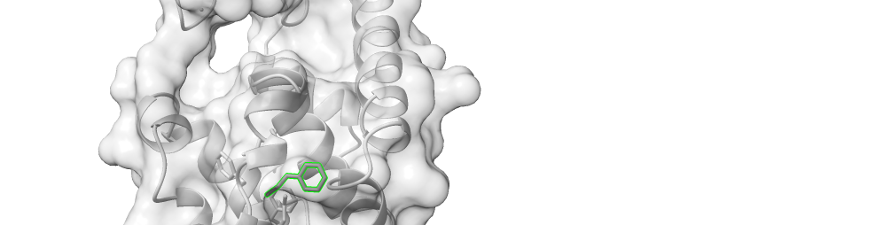 NanoShaper Hero Background